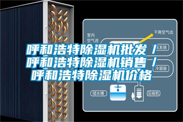 呼和浩特除湿机批发／呼和浩特除湿机销售／呼和浩特除湿机价格