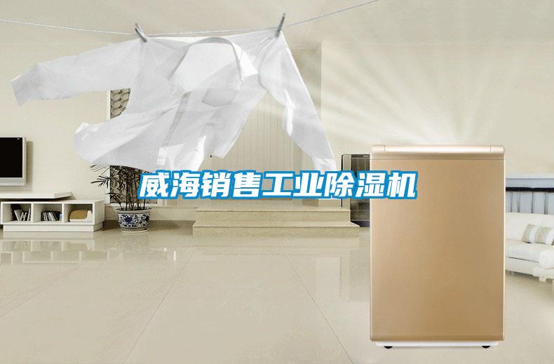 威海销售宝马电子游戏平台网址