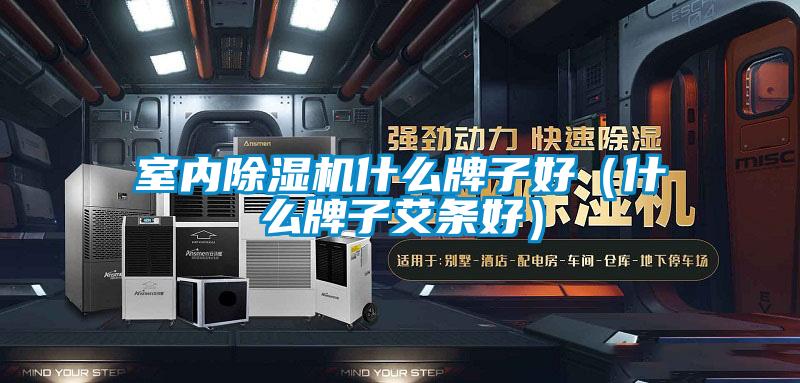 室内除湿机什么牌子好（什么牌子艾条好）