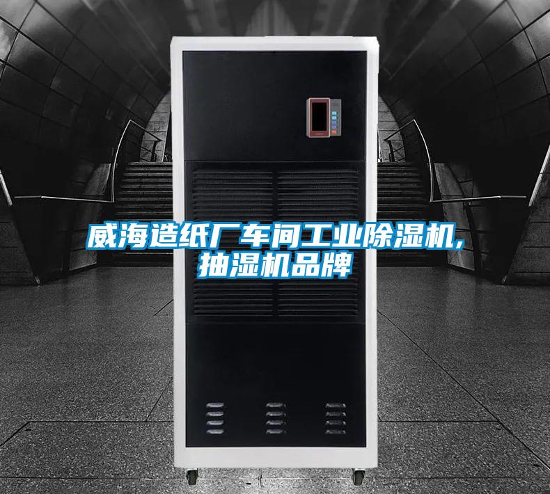 威海造纸厂车间宝马电子游戏平台网址,抽湿机品牌