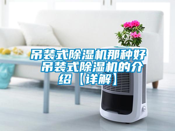 吊装式除湿机那种好 吊装式除湿机的介绍【详解】