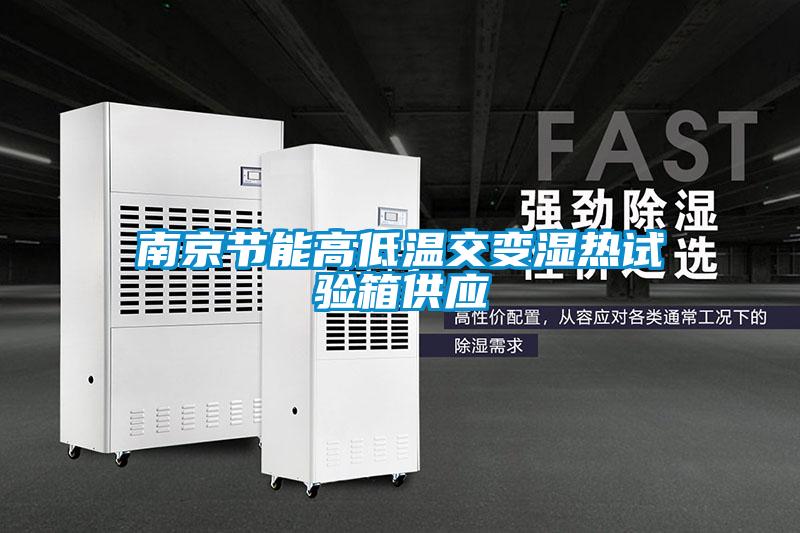 南京节能高低温交变湿热试验箱供应