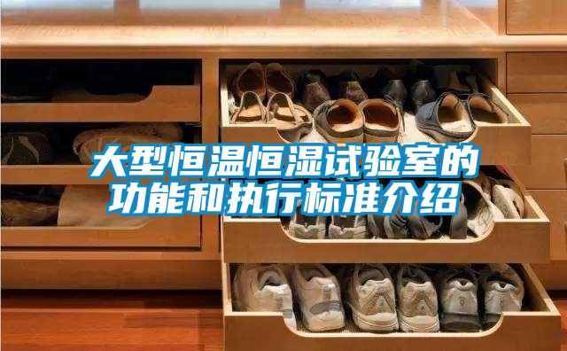 大型恒温恒湿试验室的功能和执行标准介绍