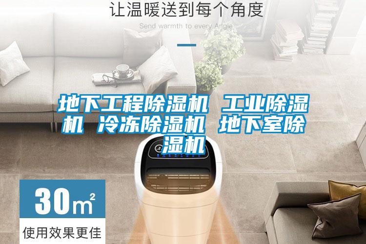 地下工程除湿机 宝马电子游戏平台网址 冷冻除湿机 地下室除湿机