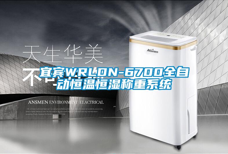 宜宾WRLDN-6700全自动恒温恒湿称重系统