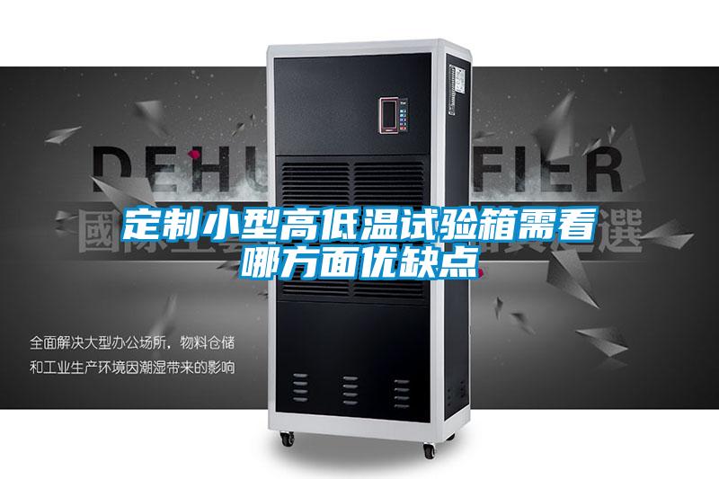 定制小型高低温试验箱需看哪方面优缺点