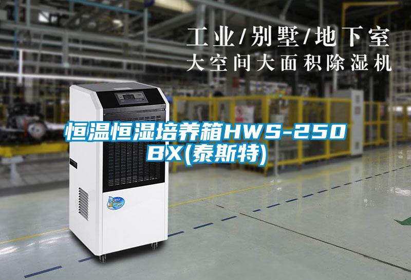 恒温恒湿培养箱HWS-250BX(泰斯特)
