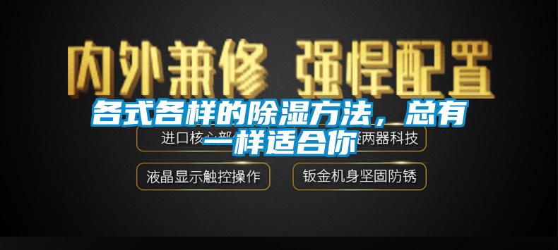 各式各样的除湿方法，总有一样适合你