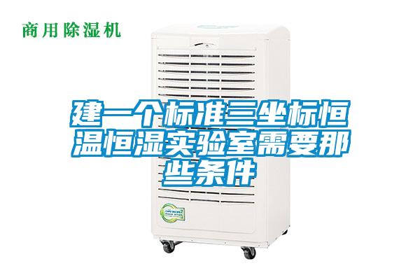 建一个标准三坐标恒温恒湿实验室需要那些条件