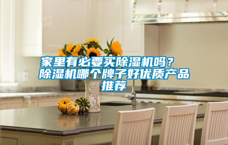 家里有必要买除湿机吗？ 除湿机哪个牌子好优质产品推荐