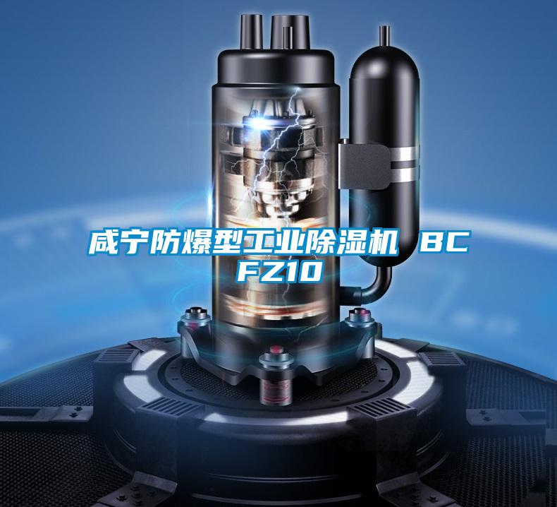 咸宁防爆型宝马电子游戏平台网址 BCFZ10