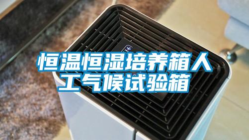 恒温恒湿培养箱人工气候试验箱
