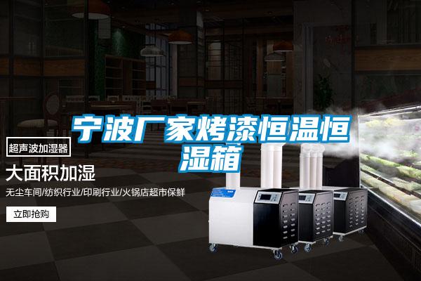 宁波厂家烤漆恒温恒湿箱