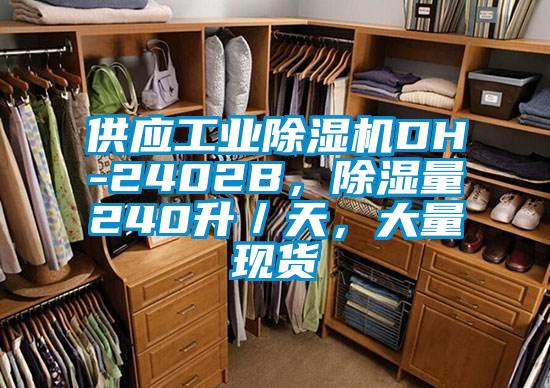 供应宝马电子游戏平台网址DH-2402B，除湿量240升／天，大量现货