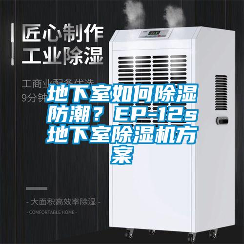 地下室如何除湿防潮？EP-12s地下室除湿机方案
