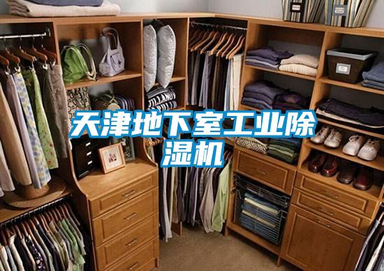 天津地下室宝马电子游戏平台网址