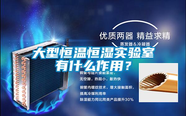 大型恒温恒湿实验室有什么作用？