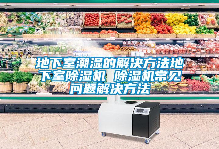 地下室潮湿的解决方法地下室除湿机 除湿机常见问题解决方法