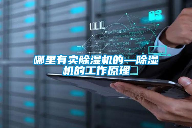 哪里有卖除湿机的—除湿机的工作原理