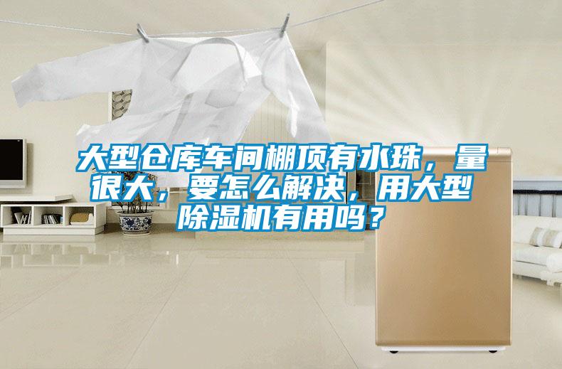 大型仓库车间棚顶有水珠，量很大，要怎么解决，用大型除湿机有用吗？