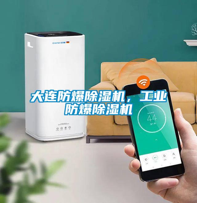 大连防爆除湿机，工业防爆除湿机