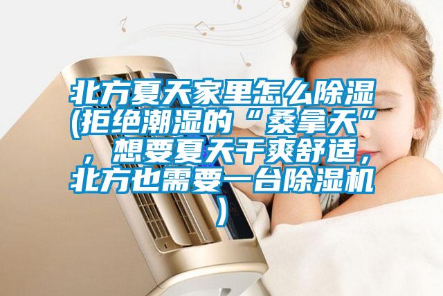北方夏天家里怎么除湿(拒绝潮湿的“桑拿天”，想要夏天干爽舒适，北方也需要一台除湿机)
