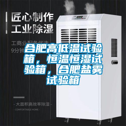 合肥高低温试验箱，恒温恒湿试验箱，合肥盐雾试验箱