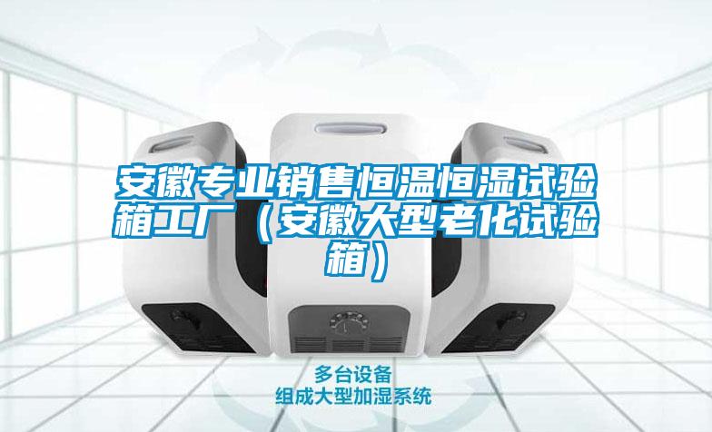 安徽专业销售恒温恒湿试验箱工厂（安徽大型老化试验箱）