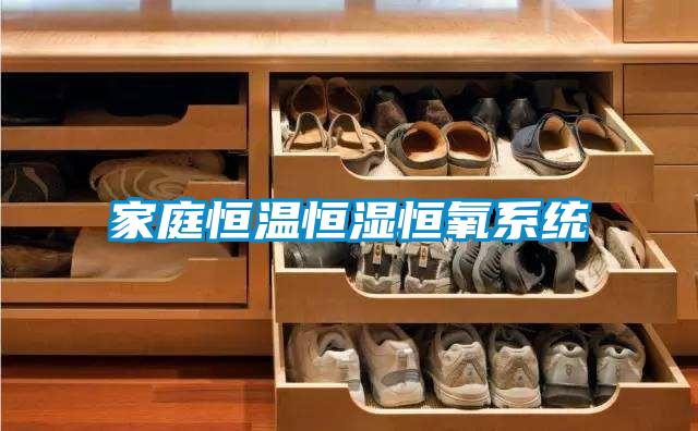 家庭恒温恒湿恒氧系统