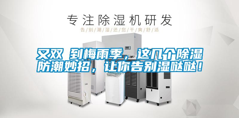 又双叒到梅雨季，这几个除湿防潮妙招，让你告别湿哒哒！