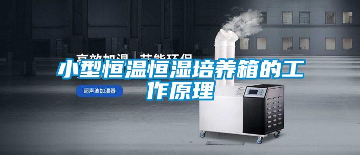 小型恒温恒湿培养箱的工作原理