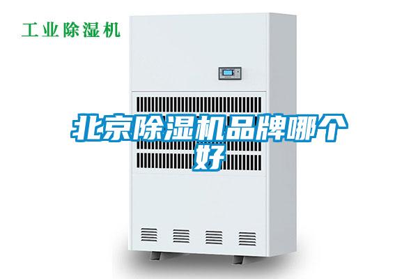 北京除湿机品牌哪个好