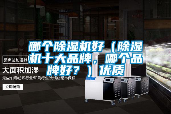 哪个除湿机好（除湿机十大品牌，哪个品牌好？）优质