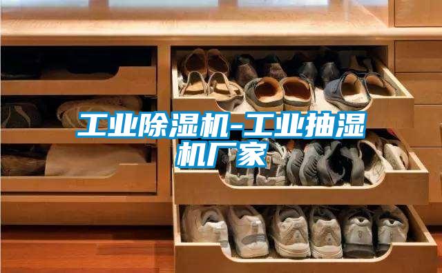 宝马电子游戏平台网址-工业抽湿机厂家