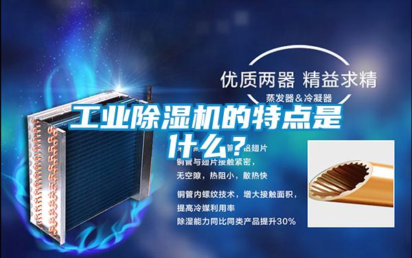 宝马电子游戏平台网址的特点是什么？