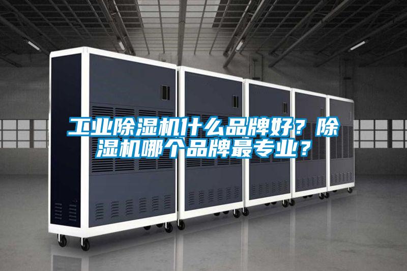 宝马电子游戏平台网址什么品牌好？除湿机哪个品牌最专业？