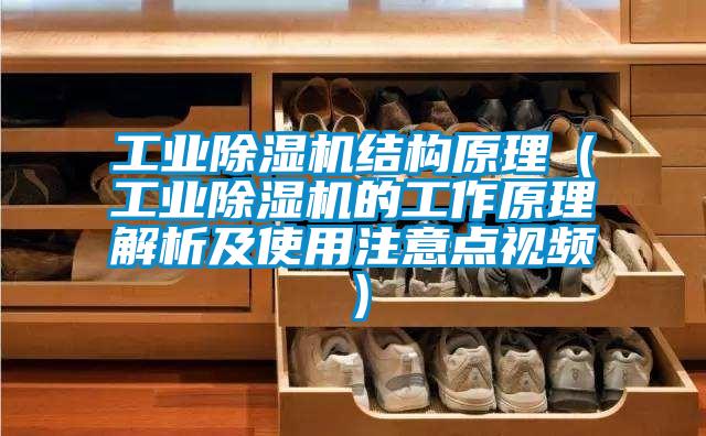 宝马电子游戏平台网址结构原理（宝马电子游戏平台网址的工作原理解析及使用注意点视频）