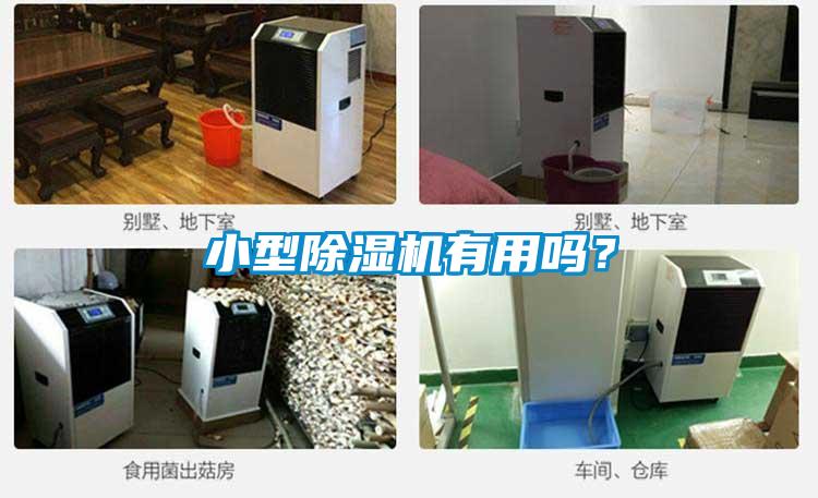 小型除湿机有用吗？