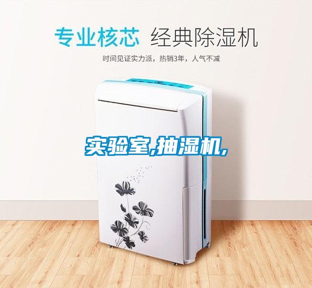 实验室,抽湿机,