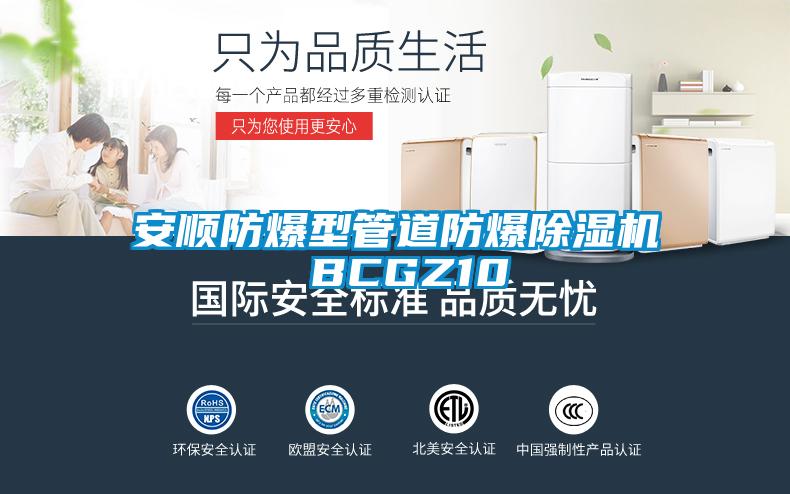 安顺防爆型管道防爆除湿机 BCGZ10