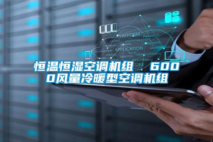 恒温恒湿空调机组  6000风量冷暖型空调机组