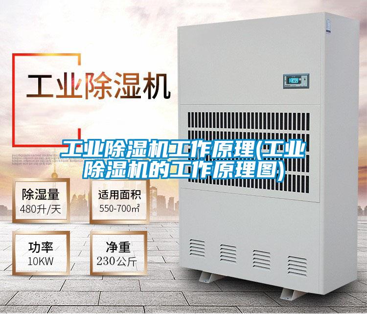 宝马电子游戏平台网址工作原理(宝马电子游戏平台网址的工作原理图)