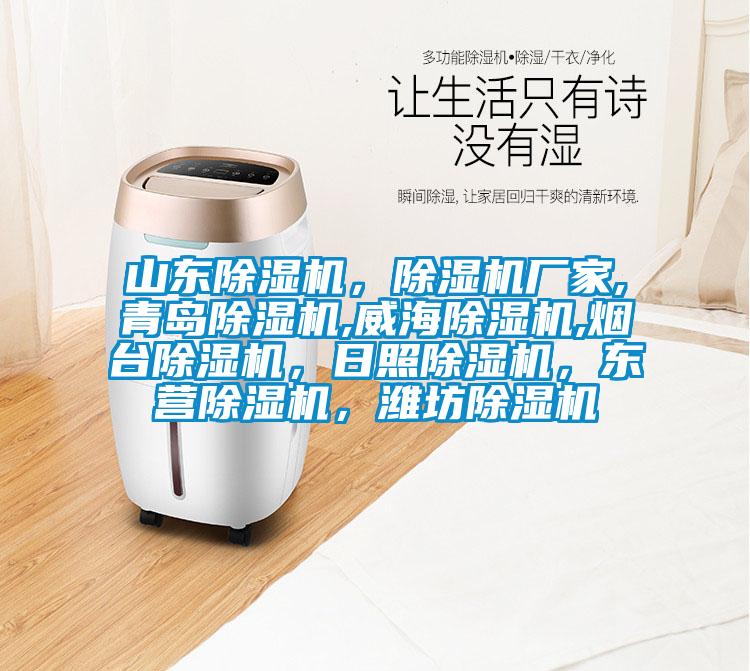 山东除湿机，宝马电子游戏娱乐,青岛除湿机,威海除湿机,烟台除湿机，日照除湿机，东营除湿机，潍坊除湿机