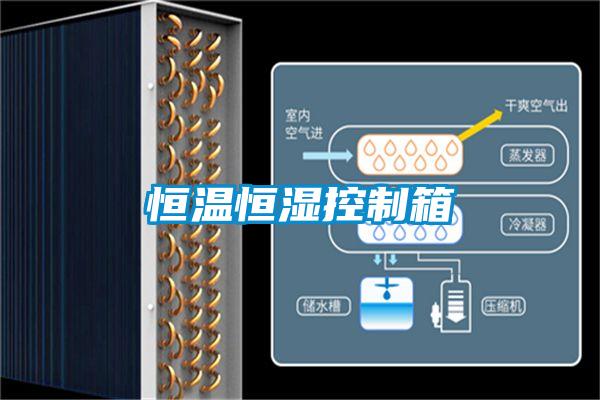 恒温恒湿控制箱