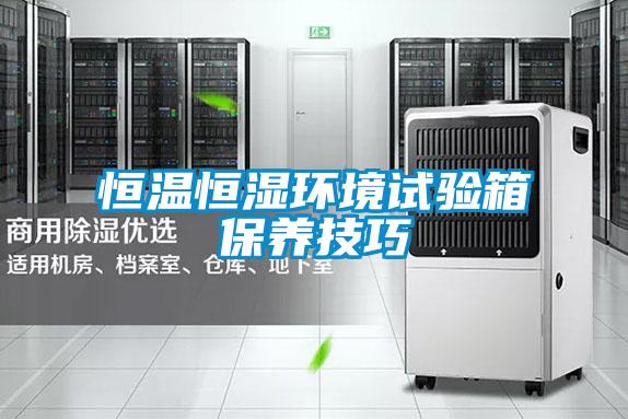 恒温恒湿环境试验箱保养技巧