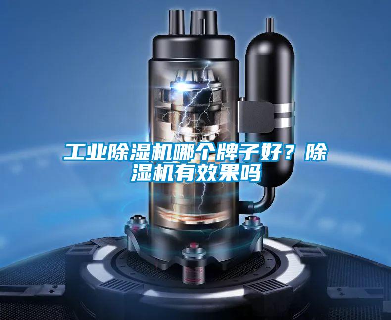 宝马电子游戏平台网址哪个牌子好？除湿机有效果吗