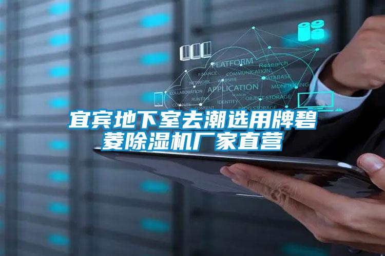 宜宾地下室去潮选用牌碧菱宝马电子游戏娱乐直营