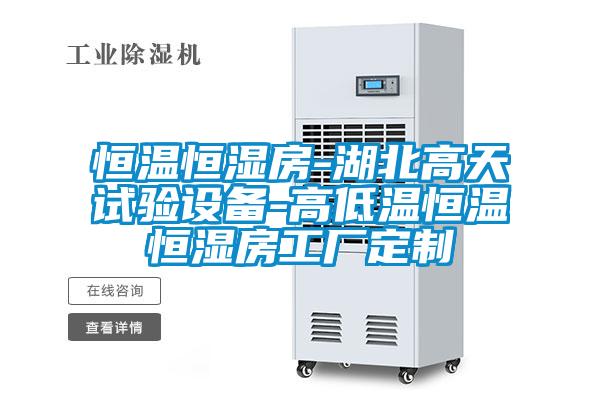 恒温恒湿房-湖北高天试验设备-高低温恒温恒湿房工厂定制