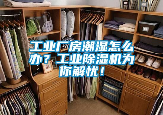 工业厂房潮湿怎么办？宝马电子游戏平台网址为你解忧！