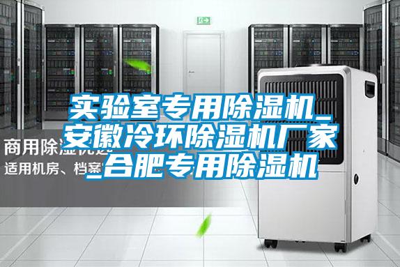 实验室专用除湿机_安徽冷环宝马电子游戏娱乐_合肥专用除湿机